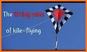 Kite Fly related image