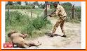 Jungle Animal Hunting Gun Strike: Safari Wild Hunt related image