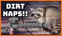 Raccoon Shooting Sandbox related image