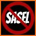 Sasel RPG related image