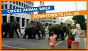 Sports Animal Tulsa related image