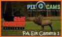 Elk Camera related image