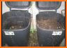 DIY Compost Bin related image