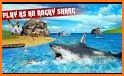 Angry Shark 3D Simulator Game related image