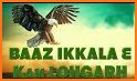 Baaz related image