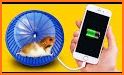 Hamster Power related image