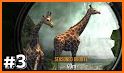 Wild Deer Hunter 2020: New Animal Hunting Games related image