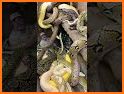 Snake Videos - Short Lyrical Video Made in India related image