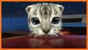 Cat Simulator : Kitty Craft related image