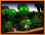 Guide For Donkey Kong Country related image