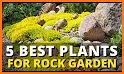 Rock Garden related image