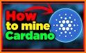 CARDANO (ADA) CLOUD MINER related image