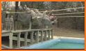 Military Obstacle Course - Us Army Training Game related image