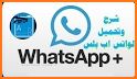 لواتـس أب + الأزرق | آخر إصدار related image