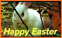 Happy Easter Greetings related image