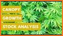 MarijuanaStocks related image