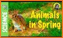 Easter Spring Animals - ReS11 related image