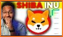 Shiba Inu coin related image