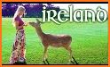 Ireland Travel Guide related image