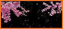 Animated Pink Blossom Petals related image