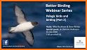 Birda: Birding Made Better related image