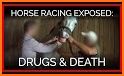 Equine Drugs related image