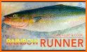 Draw Rainbow Runner related image