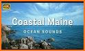 Coastal Maine Cuts related image