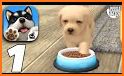 Pet Dog Run - My Dog Games ( Paws Dog Simulator ) related image