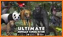 Lion Vs Tiger Wild Animal Simulator Game related image