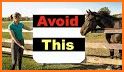 Horse Care and Riding related image