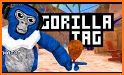 Gorilla Tag VR Guide related image