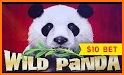 Panda Casino related image