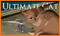 Ultimate Cat Simulator related image