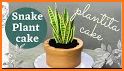 Plant Cakes Bake Shop related image