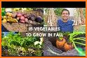 Grow Fall related image