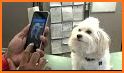 Patte - Find Lost Pets by Face Recognition related image