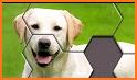 Hexa Jigsaw - Dogs jigsaw puzzle game related image