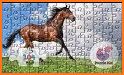 Horses Jigsaw Puzzles for Kids related image