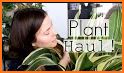 Houseplants related image