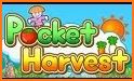 Pocket Harvest related image