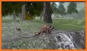 Raccoon Forest Wildlife Sim related image