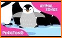 Penguin Waddle related image