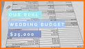 Wedding Budget Tracker related image