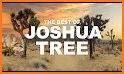 Hiking Guide: Joshua Tree related image