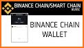 Binance: Smart Chain Wallet related image