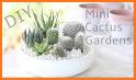 Cute & Tiny House Plants - Mini Home Garden related image