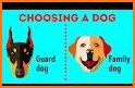 Dog breeds - ultimate guide related image