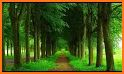 Nature Wallpaper - Green nature hd wallpaper related image