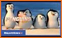 Air Penguin Origin related image